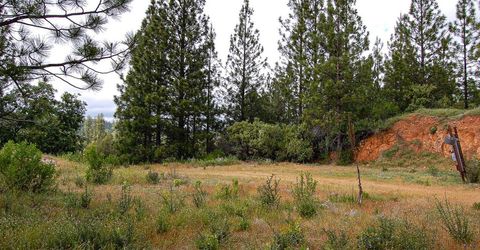2676 Silver Mountain Rd, Rail Road Flat, CA 95248 Photo