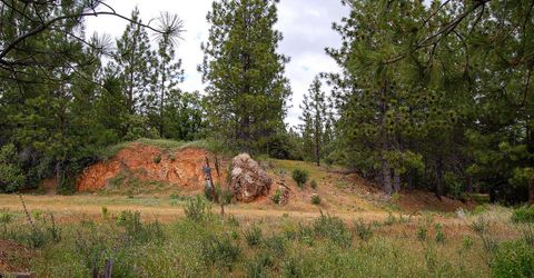 2676 Silver Mountain Rd, Rail Road Flat, CA 95248 Photo