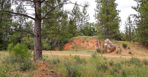 2676 Silver Mountain Rd, Rail Road Flat, CA 95248 Photo