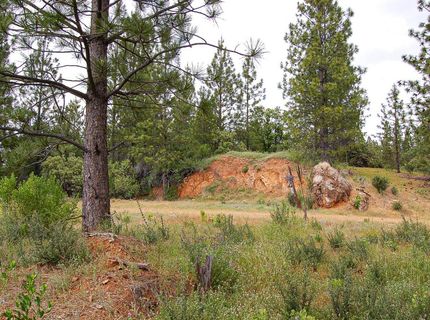 2676 Silver Mountain Rd, Rail Road Flat, CA 95248 Photo