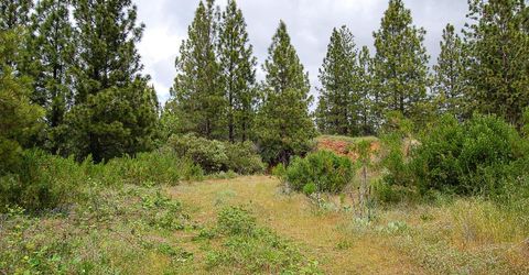 2676 Silver Mountain Rd, Rail Road Flat, CA 95248 Photo