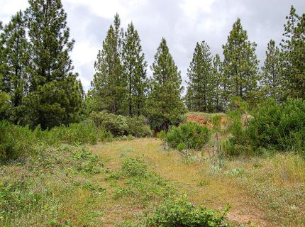 2676 Silver Mountain Rd, Rail Road Flat, CA 95248 Photo