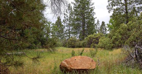 2676 Silver Mountain Rd, Rail Road Flat, CA 95248 Photo
