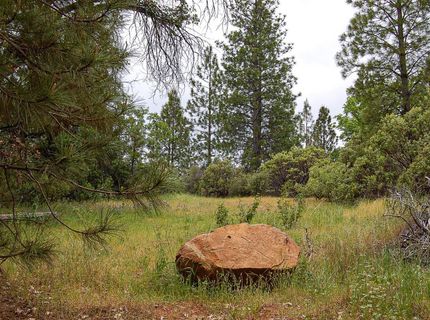 2676 Silver Mountain Rd, Rail Road Flat, CA 95248 Photo