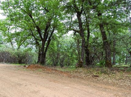 2676 Silver Mountain Rd, Rail Road Flat, CA 95248 Photo