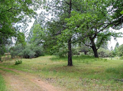 2676 Silver Mountain Rd, Rail Road Flat, CA 95248 Photo
