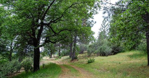 2676 Silver Mountain Rd, Rail Road Flat, CA 95248 Photo