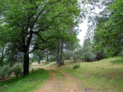 2676 Silver Mountain Rd, Rail Road Flat, CA 95248 Photo