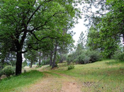 2676 Silver Mountain Rd, Rail Road Flat, CA 95248 Photo