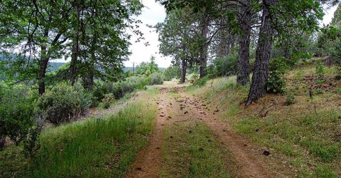 2676 Silver Mountain Rd, Rail Road Flat, CA 95248 Photo