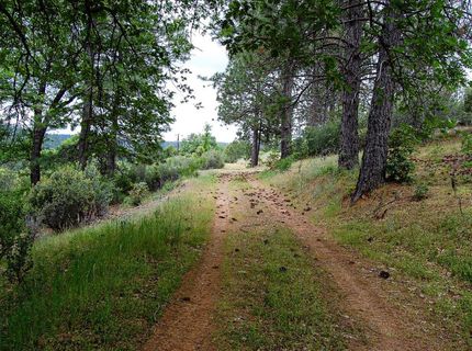 2676 Silver Mountain Rd, Rail Road Flat, CA 95248 Photo