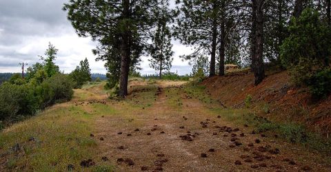 2676 Silver Mountain Rd, Rail Road Flat, CA 95248 Photo