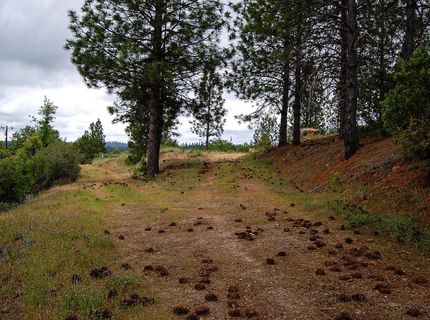 2676 Silver Mountain Rd, Rail Road Flat, CA 95248 Photo