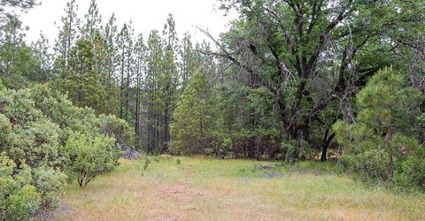 2676 Silver Mountain Rd, Rail Road Flat, CA 95248 Photo