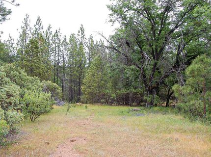 2676 Silver Mountain Rd, Rail Road Flat, CA 95248 Photo