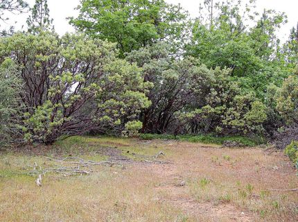2676 Silver Mountain Rd, Rail Road Flat, CA 95248 Photo