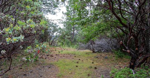 2676 Silver Mountain Rd, Rail Road Flat, CA 95248 Photo