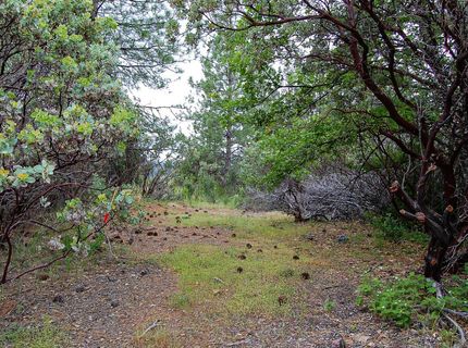 2676 Silver Mountain Rd, Rail Road Flat, CA 95248 Photo