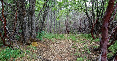 2676 Silver Mountain Rd, Rail Road Flat, CA 95248 Photo