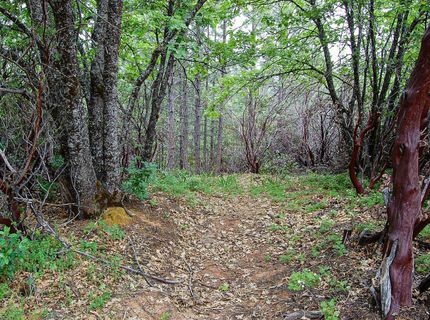 2676 Silver Mountain Rd, Rail Road Flat, CA 95248 Photo