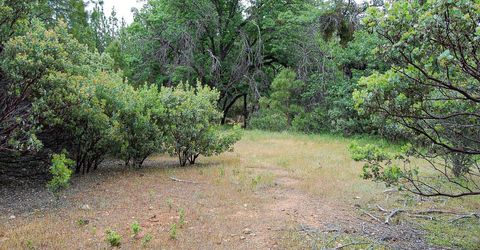 2676 Silver Mountain Rd, Rail Road Flat, CA 95248 Photo