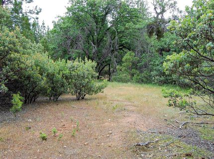 2676 Silver Mountain Rd, Rail Road Flat, CA 95248 Photo