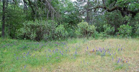 2676 Silver Mountain Rd, Rail Road Flat, CA 95248 Photo