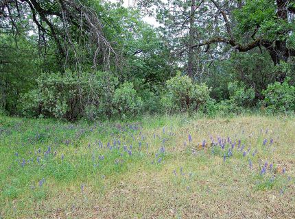 2676 Silver Mountain Rd, Rail Road Flat, CA 95248 Photo
