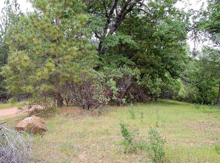 2676 Silver Mountain Rd, Rail Road Flat, CA 95248 Photo