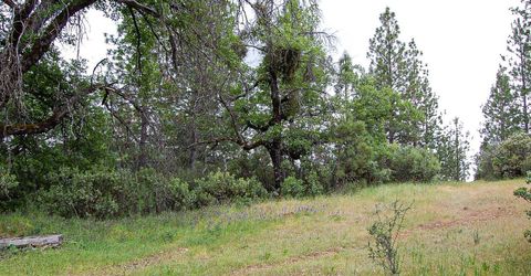 2676 Silver Mountain Rd, Rail Road Flat, CA 95248 Photo