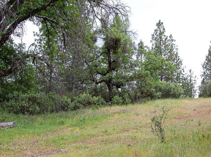 2676 Silver Mountain Rd, Rail Road Flat, CA 95248 Photo