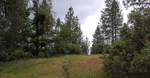 2676 Silver Mountain Rd, Rail Road Flat, CA 95248 Photo