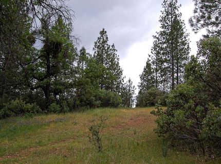 2676 Silver Mountain Rd, Rail Road Flat, CA 95248 Photo