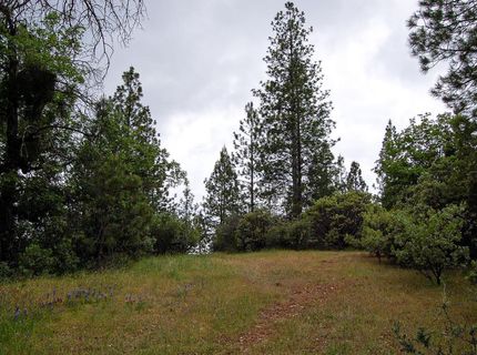 2676 Silver Mountain Rd, Rail Road Flat, CA 95248 Photo