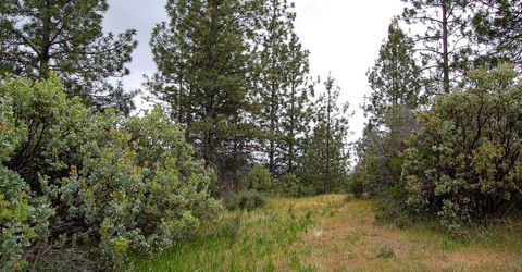 2676 Silver Mountain Rd, Rail Road Flat, CA 95248 Photo