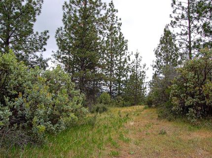 2676 Silver Mountain Rd, Rail Road Flat, CA 95248 Photo