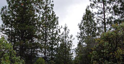 2676 Silver Mountain Rd, Rail Road Flat, CA 95248 Photo