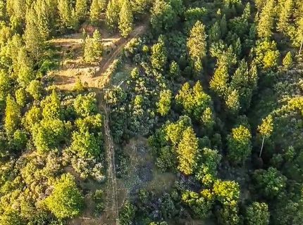 2676 Silver Mountain Rd, Rail Road Flat, CA 95248 Photo
