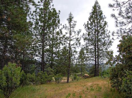 2676 Silver Mountain Rd, Rail Road Flat, CA 95248 Photo