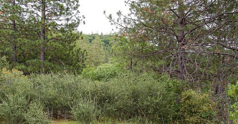 2676 Silver Mountain Rd, Rail Road Flat, CA 95248 Photo