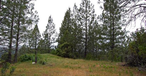 2676 Silver Mountain Rd, Rail Road Flat, CA 95248 Photo