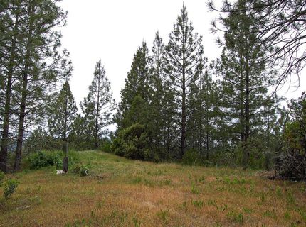 2676 Silver Mountain Rd, Rail Road Flat, CA 95248 Photo
