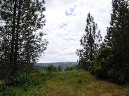 2676 Silver Mountain Rd, Rail Road Flat, CA 95248 Photo