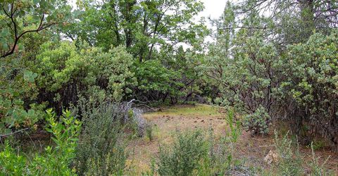 2676 Silver Mountain Rd, Rail Road Flat, CA 95248 Photo