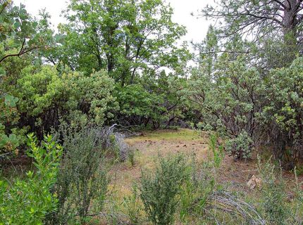2676 Silver Mountain Rd, Rail Road Flat, CA 95248 Photo