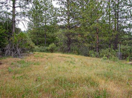 2676 Silver Mountain Rd, Rail Road Flat, CA 95248 Photo