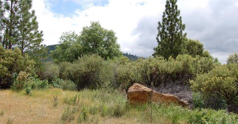 2676 Silver Mountain Rd, Rail Road Flat, CA 95248 Photo