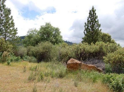 2676 Silver Mountain Rd, Rail Road Flat, CA 95248 Photo