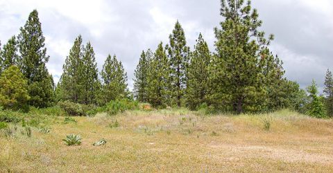 2676 Silver Mountain Rd, Rail Road Flat, CA 95248 Photo
