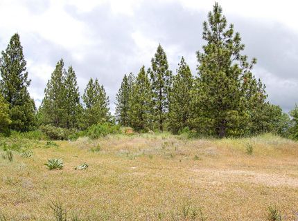 2676 Silver Mountain Rd, Rail Road Flat, CA 95248 Photo